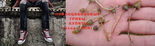 шишки Надым