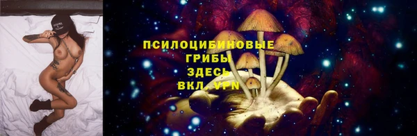 spice Абинск