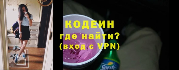 шишки Надым