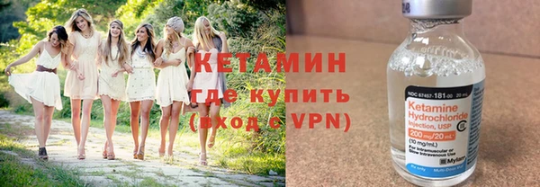 шишки Надым