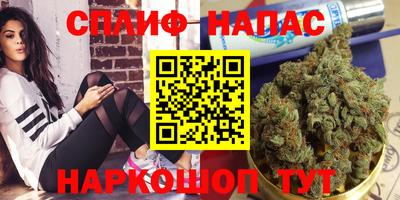 спиды Кандалакша