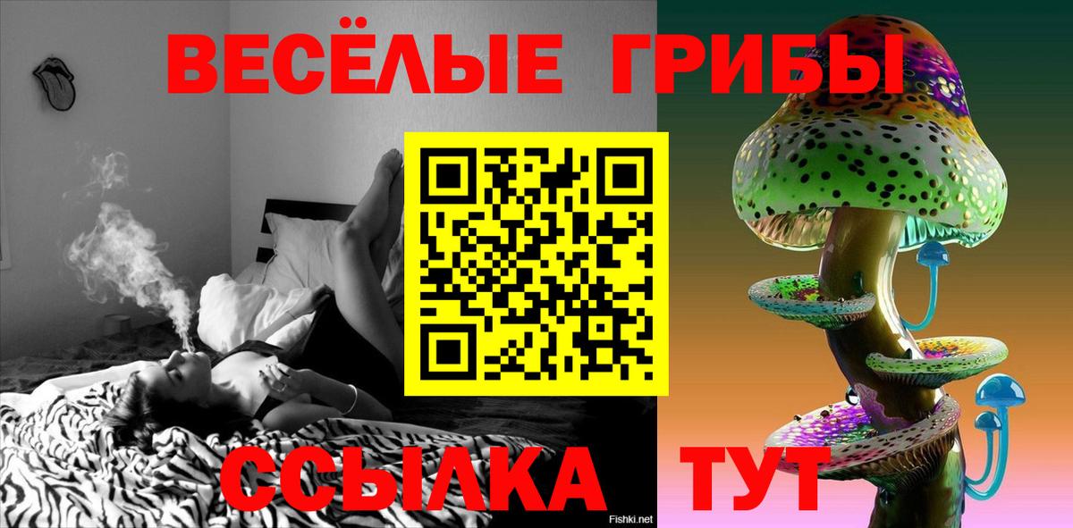 Норильск  продажа наркотиков  Вход с VPN  Псилоцибиновые грибы Cubensis  Псилоцибиновые грибы мицелий 